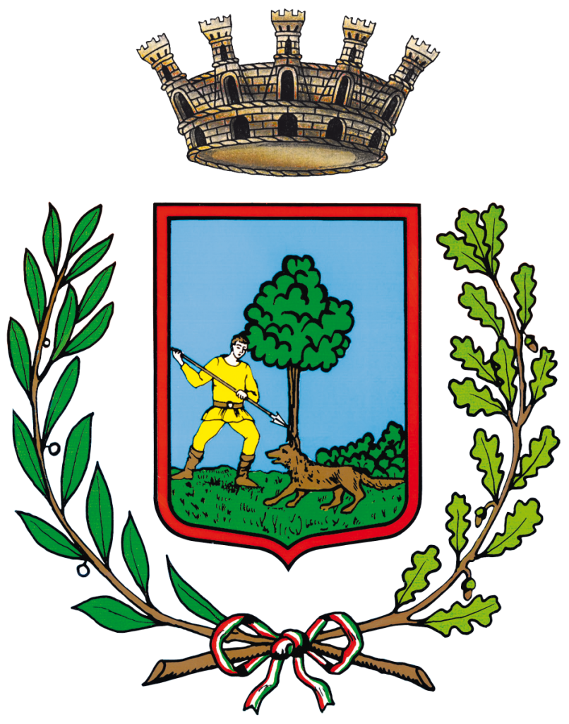 Comune di San Martino di Lupari